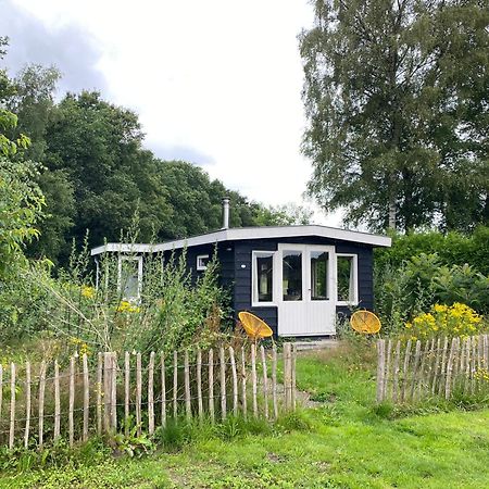 Natuurhuisje Veluwe Met Houtkachel En Pizzaoven Villa Ermelo Eksteriør bilde