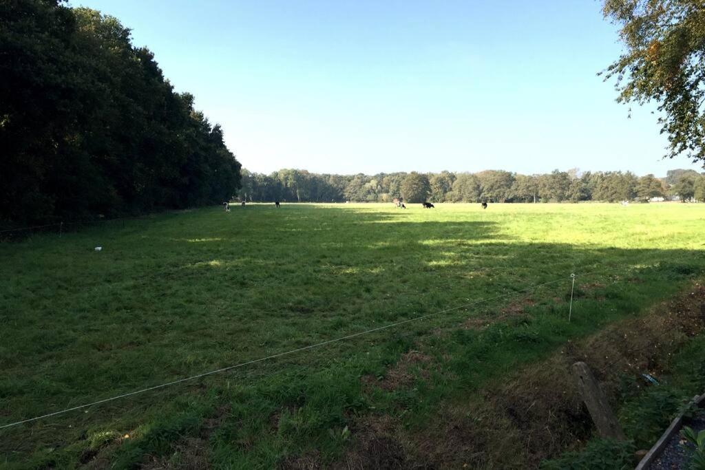 Natuurhuisje Veluwe Met Houtkachel En Pizzaoven Villa Ermelo Eksteriør bilde